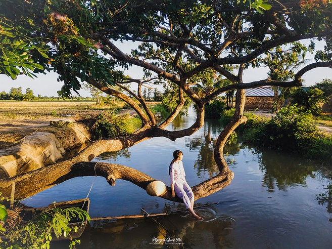 vietnamese amateur photographer launches a gallery of thousands photo about ben tre due to love