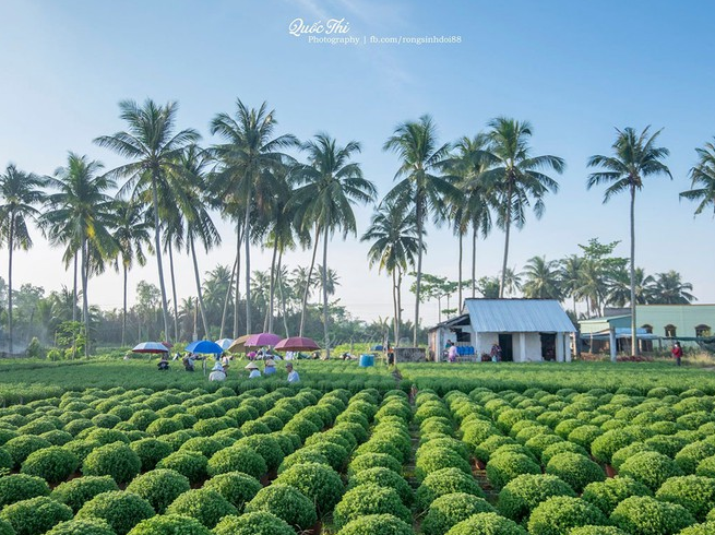 vietnamese amateur photographer launches a gallery of thousands photo about ben tre due to love