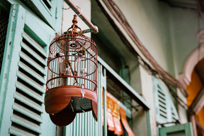 exploring antique sight of ho chi minh citys 100 year old alley