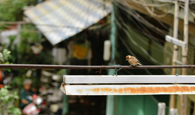 exploring antique sight of ho chi minh citys 100 year old alley