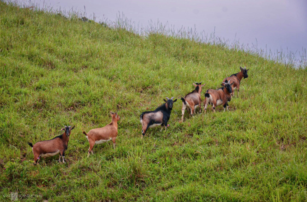 Mount Mau Son: Conquering the mount mau son conquering the dinosaur backbone sight