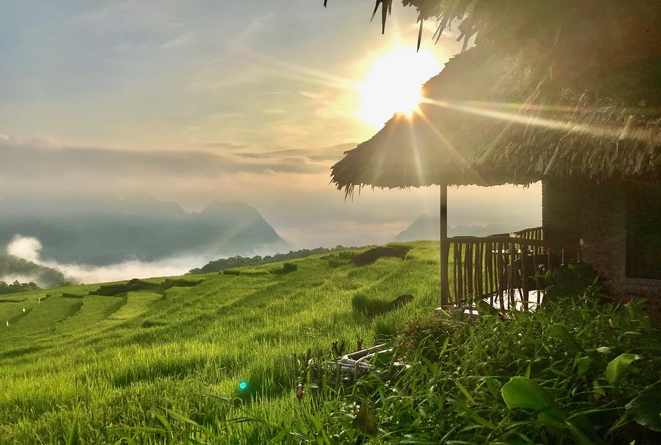 Immersed in Pu Luong's evergreen paddy fields