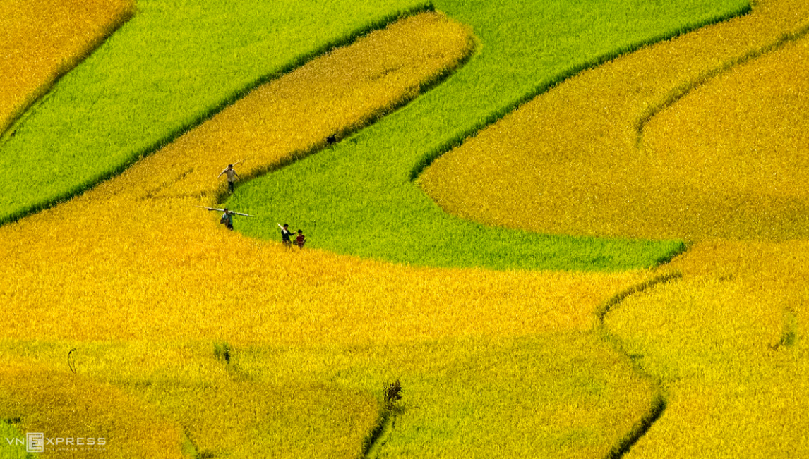 Mountainous harvest in the golden light of autumn