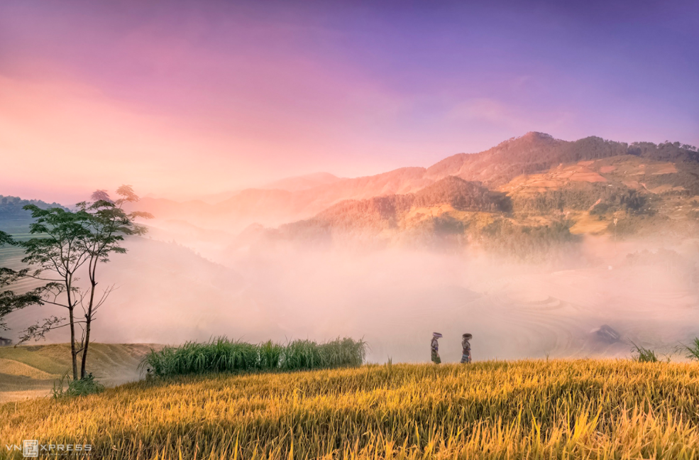 Mountainous harvest in the golden light of autumn