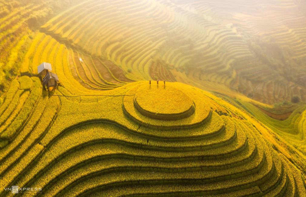 Mountainous harvest in the golden light of autumn