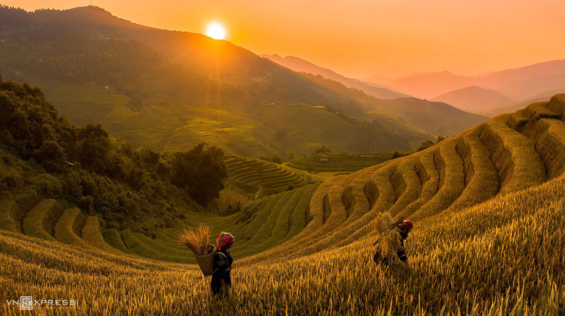 Mountainous harvest in the golden light of autumn