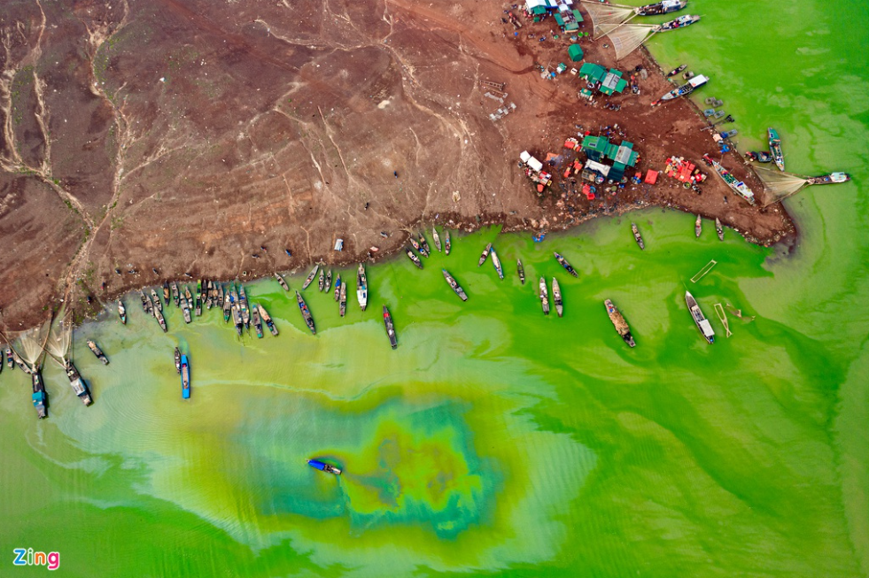 tri an lakes green hues as algae season comes