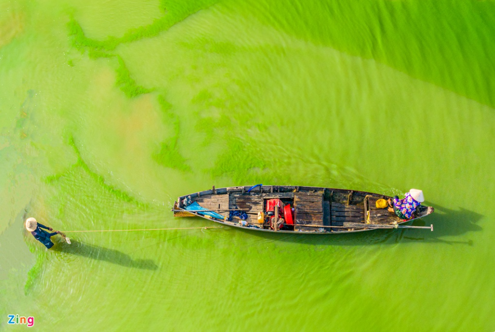 tri an lakes green hues as algae season comes