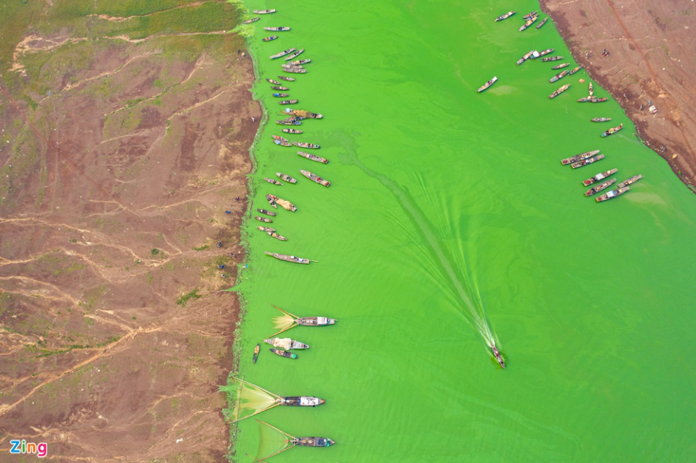 tri an lakes green hues as algae season comes