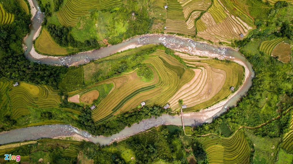 mu cang chais splendid scene in the harvest season