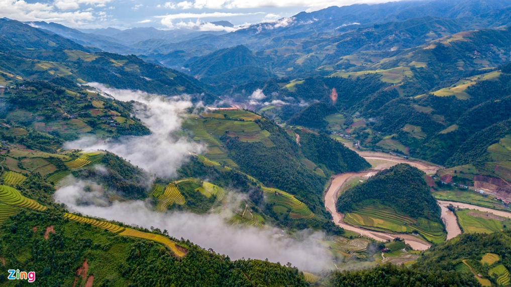 mu cang chais splendid scene in the harvest season