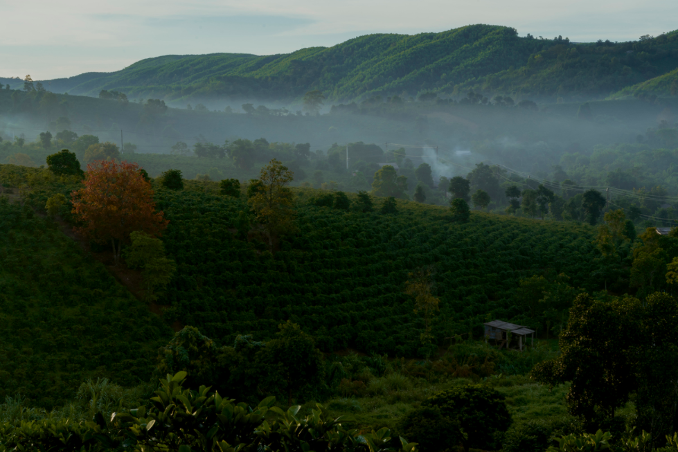 quang tri mountainous areas engulfed in morning mist