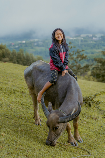 quang tri mountainous areas engulfed in morning mist