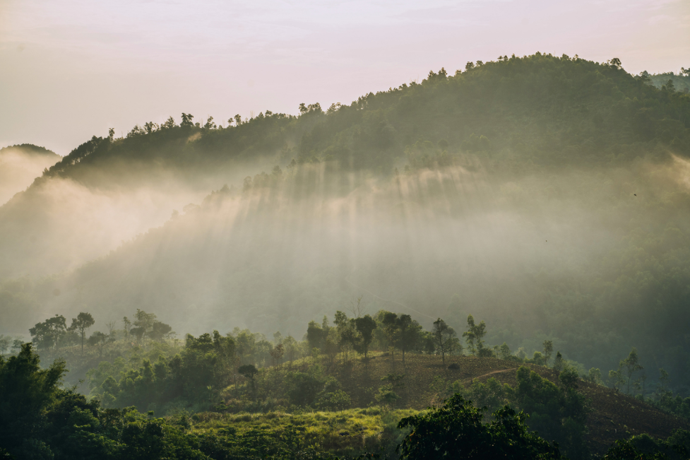 quang tri mountainous areas engulfed in morning mist