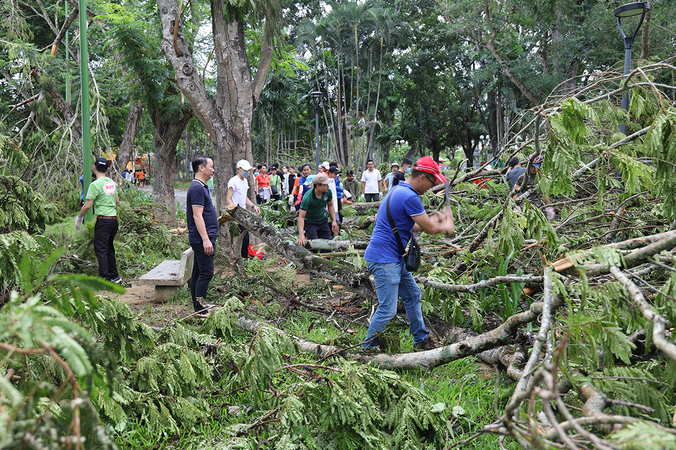 Noul storm caused more than USD 21 million in damage, 10,000 trees fallen in Hue