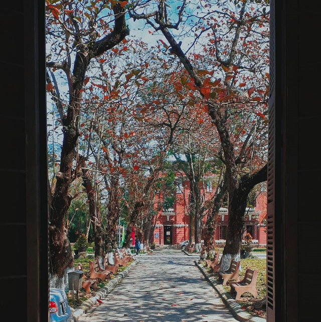 Top 3 schools & universities in Hue famous for its photogenic architecture