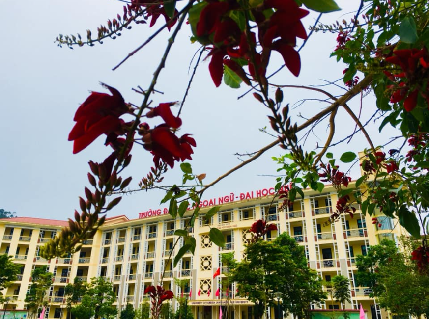 top 3 schools universities in hue famous for its photogenic architecture
