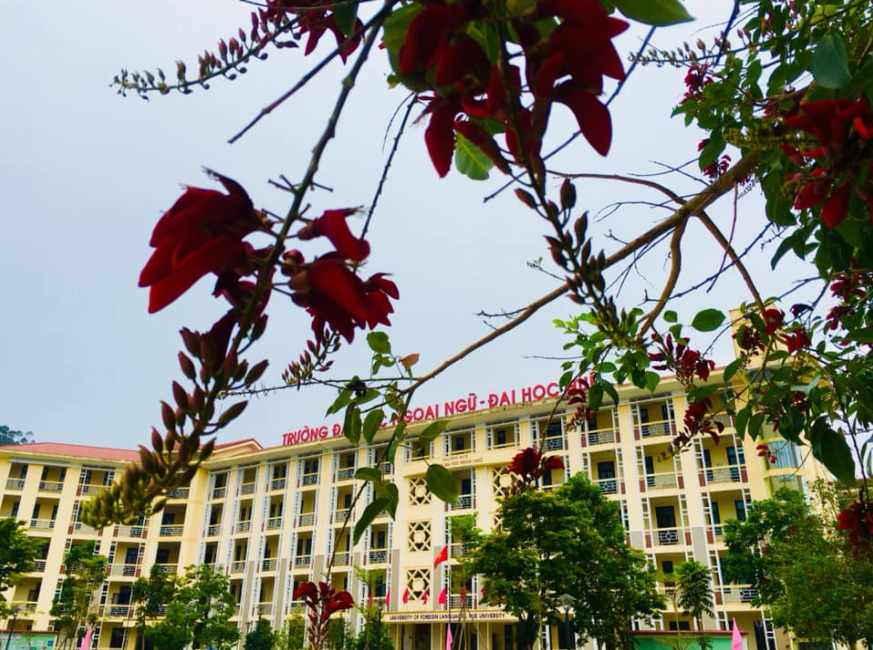 Top 3 schools & universities in Hue famous for its photogenic architecture