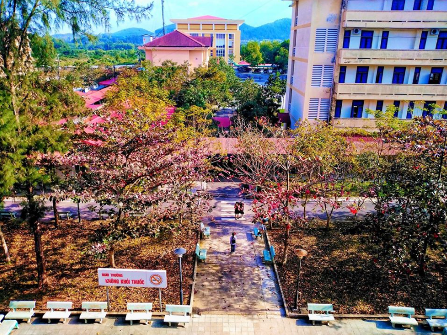 Top 3 schools & universities in Hue famous for its photogenic architecture