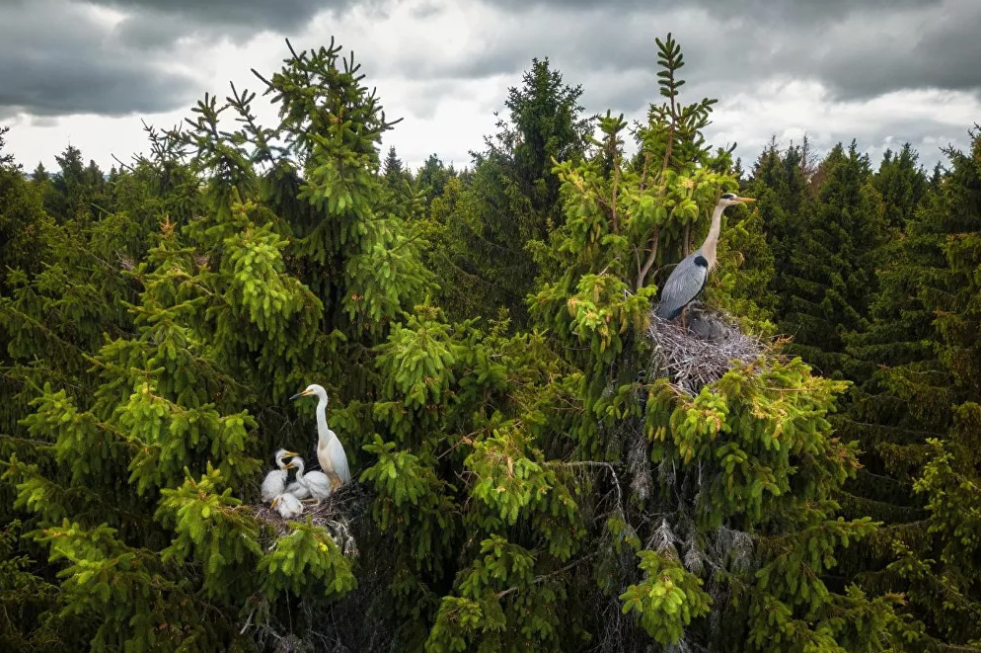 Vietnam photographers' works exhibited in Drone Photo Awards 2020