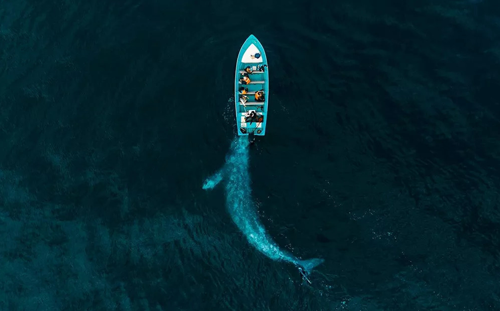 Vietnam photographers' works exhibited in Drone Photo Awards 2020