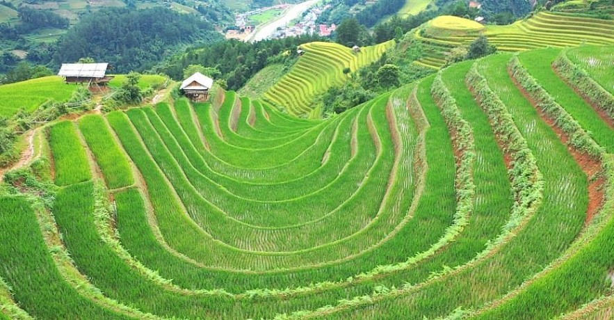 Photos: The Majesty of Rice Paddies in Ha Giang