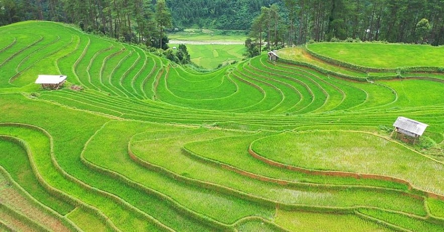 Photos: The Majesty of Rice Paddies in Ha Giang