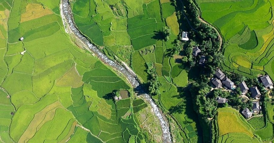 Photos: The Majesty of Rice Paddies in Ha Giang