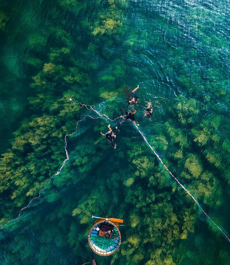 Photos: Quang Ngai's Seaweed Forest Seen From Above