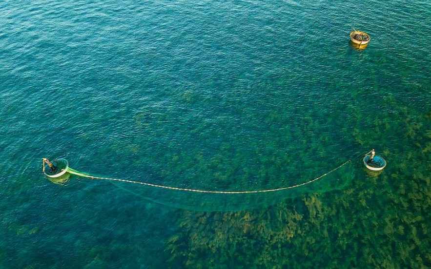 Photos: Quang Ngai's Seaweed Forest Seen From Above