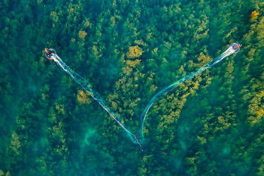 Photos: Quang Ngai's Seaweed Forest Seen From Above