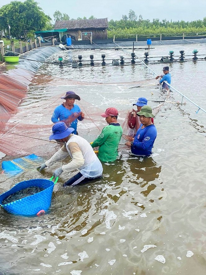 Ca Mau Holds Online Forum on Seafood Consumption