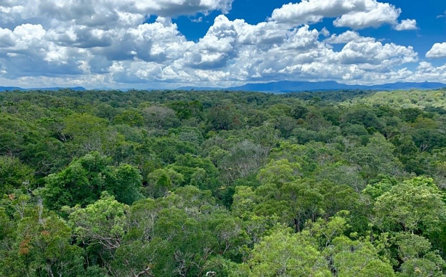 Pristine World Biosphere Reserves Recognized by UNESCO