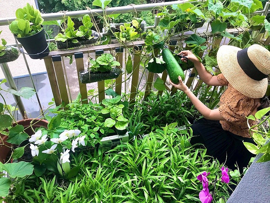 Vietnamese Woman Living France Turns Balcony Into Garden