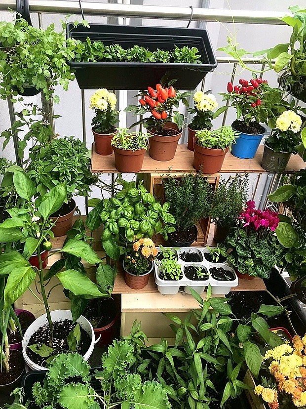 Vietnamese Woman Living France Turns Balcony Into Garden