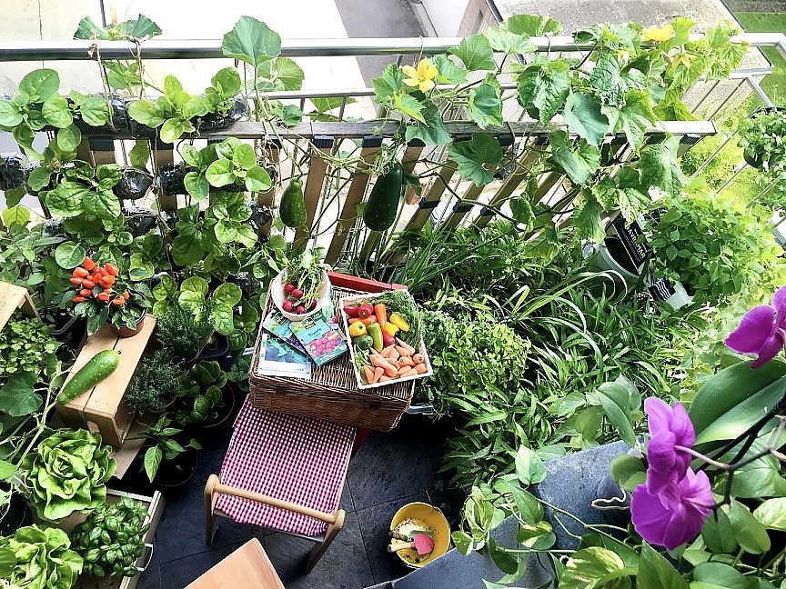 Vietnamese Woman Living France Turns Balcony Into Garden