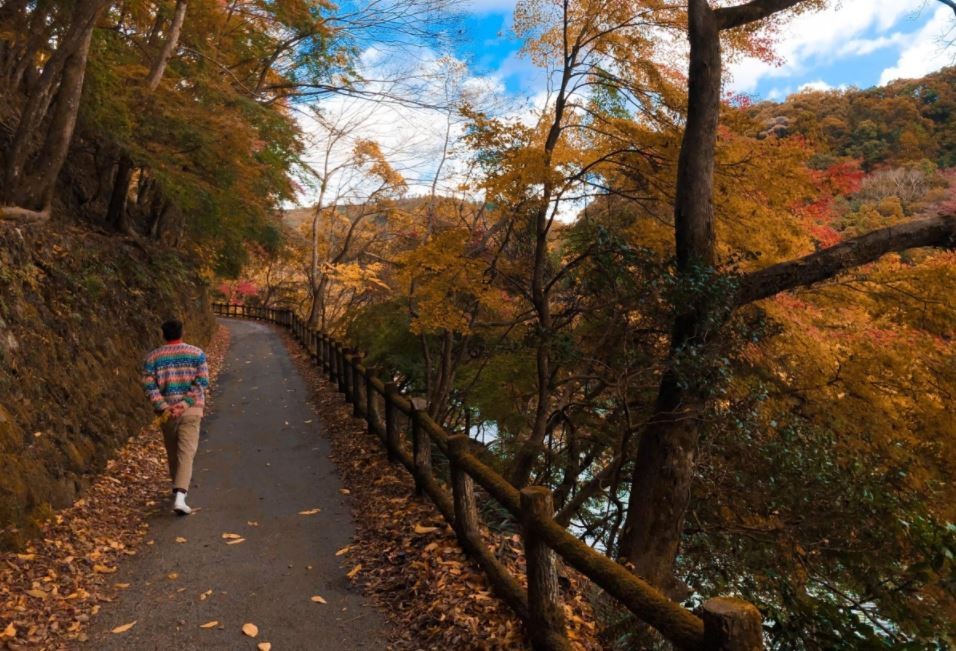 autumn in japan through a vietnamese lens