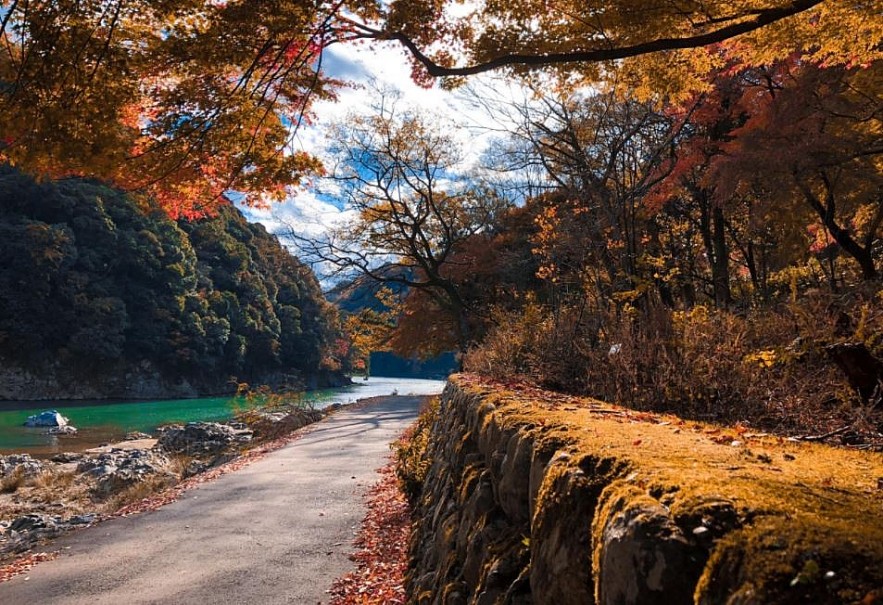 Autumn in Japan Through a Vietnamese Lens