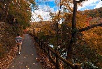 Autumn in Japan Through a Vietnamese Lens