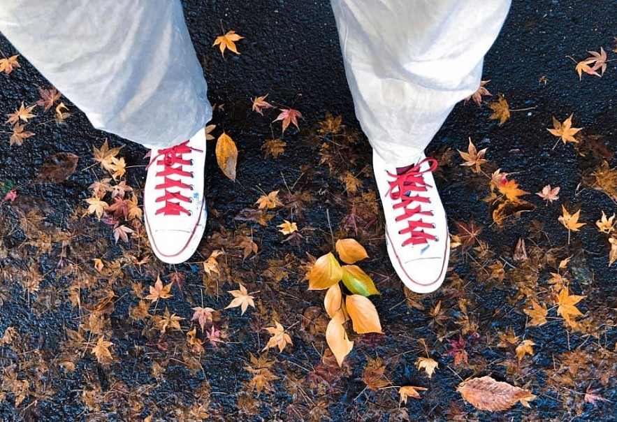 Autumn in Japan Through a Vietnamese Lens