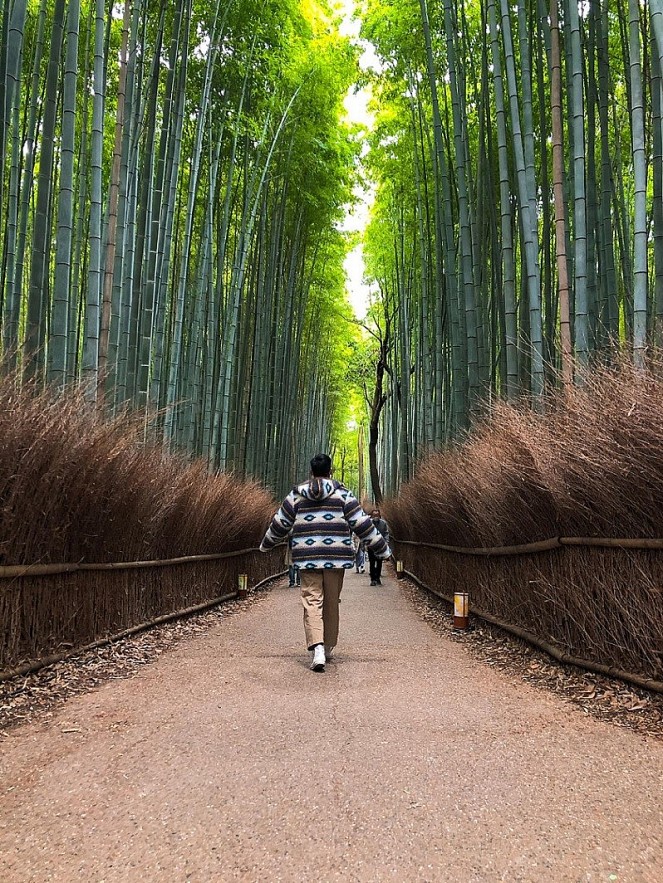 Autumn in Japan Through a Vietnamese Lens