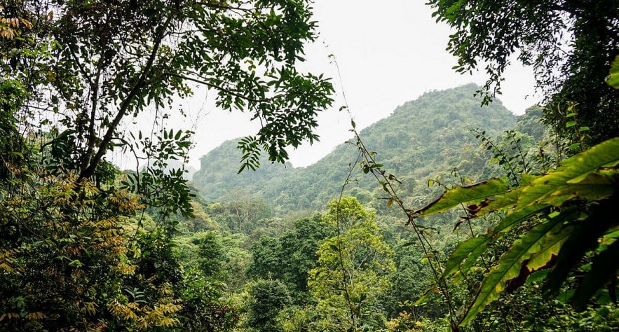 Cat Ba Listed Among BuzzFeed's Must-visit National Parks