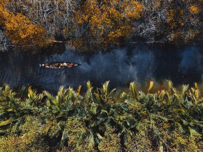 The haunting magnificence of Hue's mangroves forest in autumn