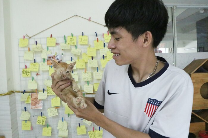 afp praised 24 year old vietnamese who quited his stable job to save abandoned cats