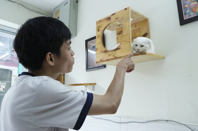 afp praised 24 year old vietnamese who quited his stable job to save abandoned cats