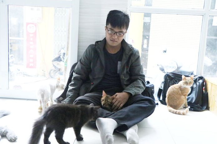 afp praised 24 year old vietnamese who quited his stable job to save abandoned cats