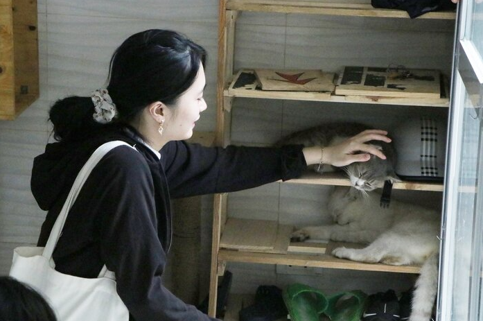 afp praised 24 year old vietnamese who quited his stable job to save abandoned cats