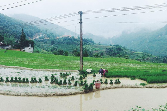 exploring the story of ha giang in watering season from local meo people