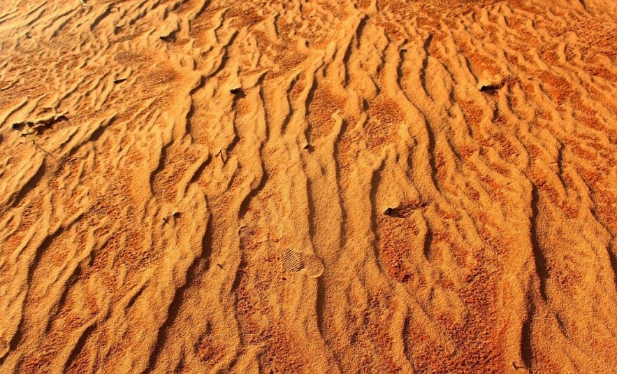 Exploring Vietnam's Miniature Sahara Desert Exploring Vietnam's Miniature Sahara Desert