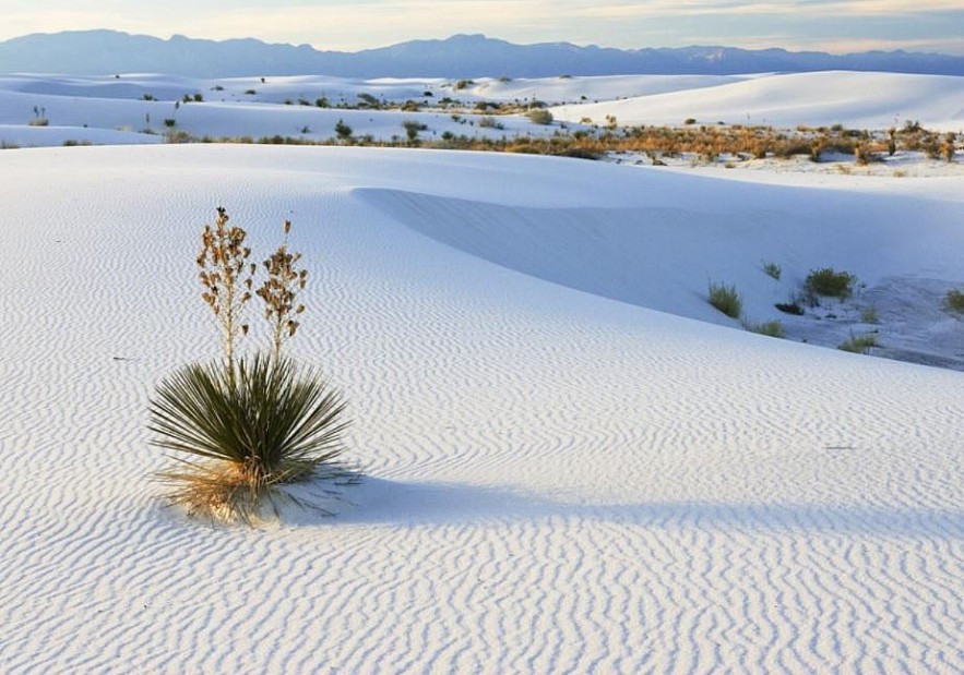 Exploring Vietnam's Miniature Sahara Desert